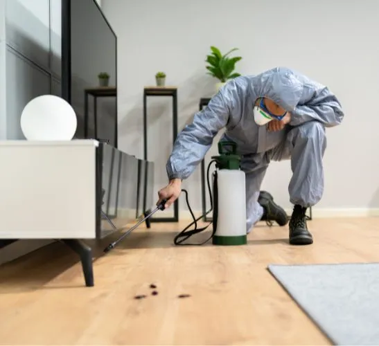 pest-control-exterminator-man-spraying-termite-pesticide pest control near me