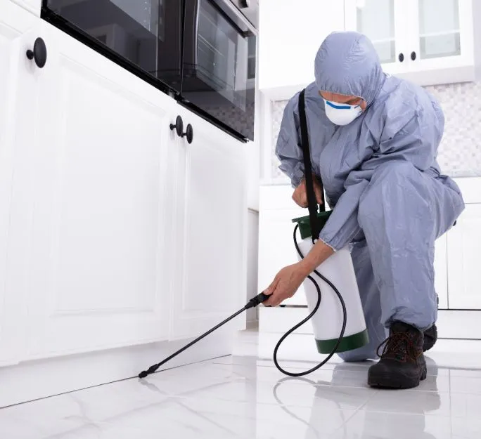pest-control-worker-spraying-pesticide-on-white-cabinet pest control queens