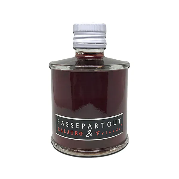 AGED RED WINE VINEGAR - 250ML