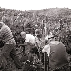 LA CAPLANA 2