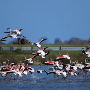 SALINE DI CERVIA 2