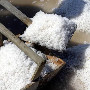 SALINE DI CERVIA 3