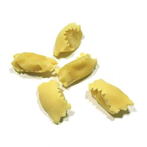 RAVIOLI DEL PLIN WITH CHEESE FONDUE AND TRUFFLE - 1kg