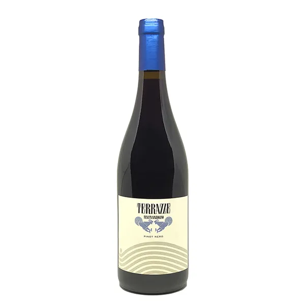 TERRAZZE  Pinot Nero I.G.T 2022