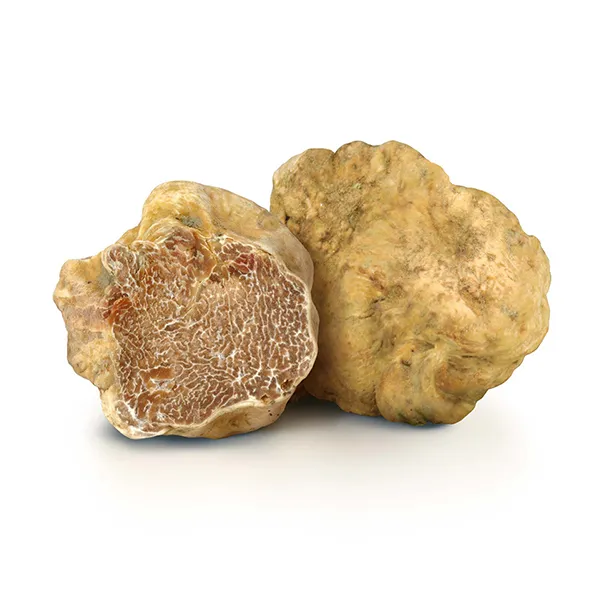 WHITE ALBA TRUFFLE