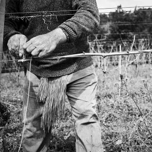 Luigi Maffini 3 web