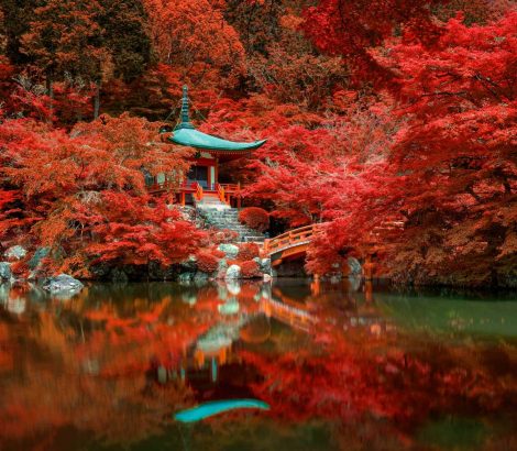 autumn-foliage-at-daigo-ji-temple-kyoto-japan-DNMX6GE.jpg