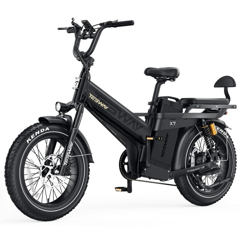 Tesway X7 PRO Electric Bike Tesway X7 PRO Electric Bike