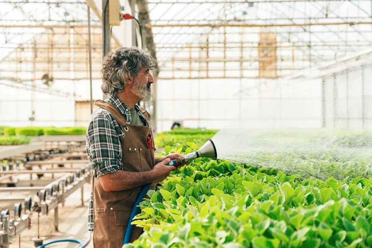 farmer-senior-man-working-in-his-farm