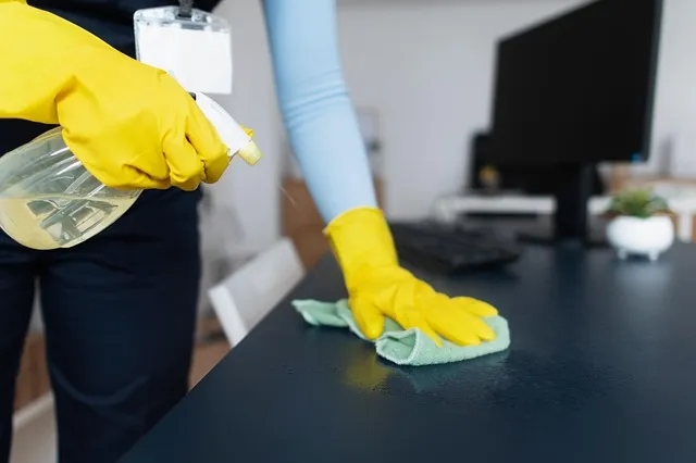 Professional deep cleaning service in an Amsterdam apartment deep cleaning service
