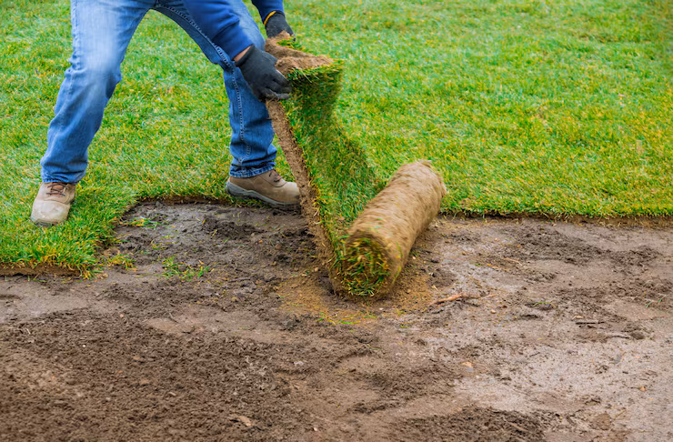 What Is Sod Installation and How Can It Transform Your Lawn?