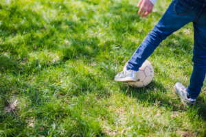 sod installation