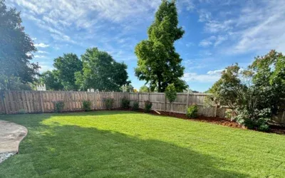 Backyard Landscape Design