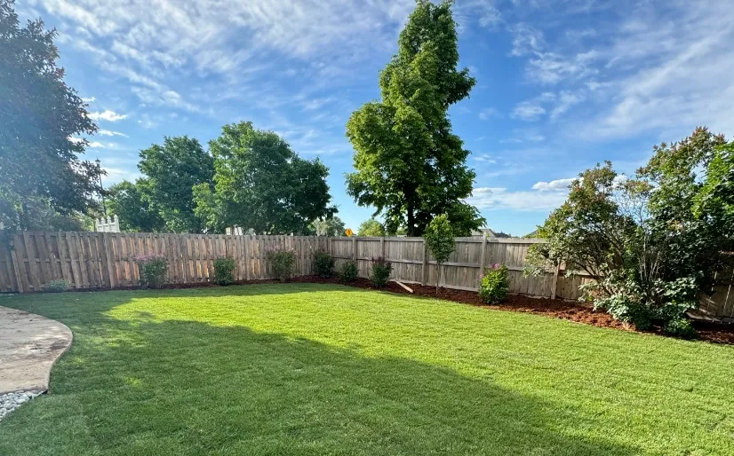 Backyard Landscape Design
