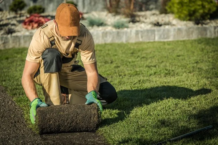 How to Install Sod: A Complete Beginner’s Guide