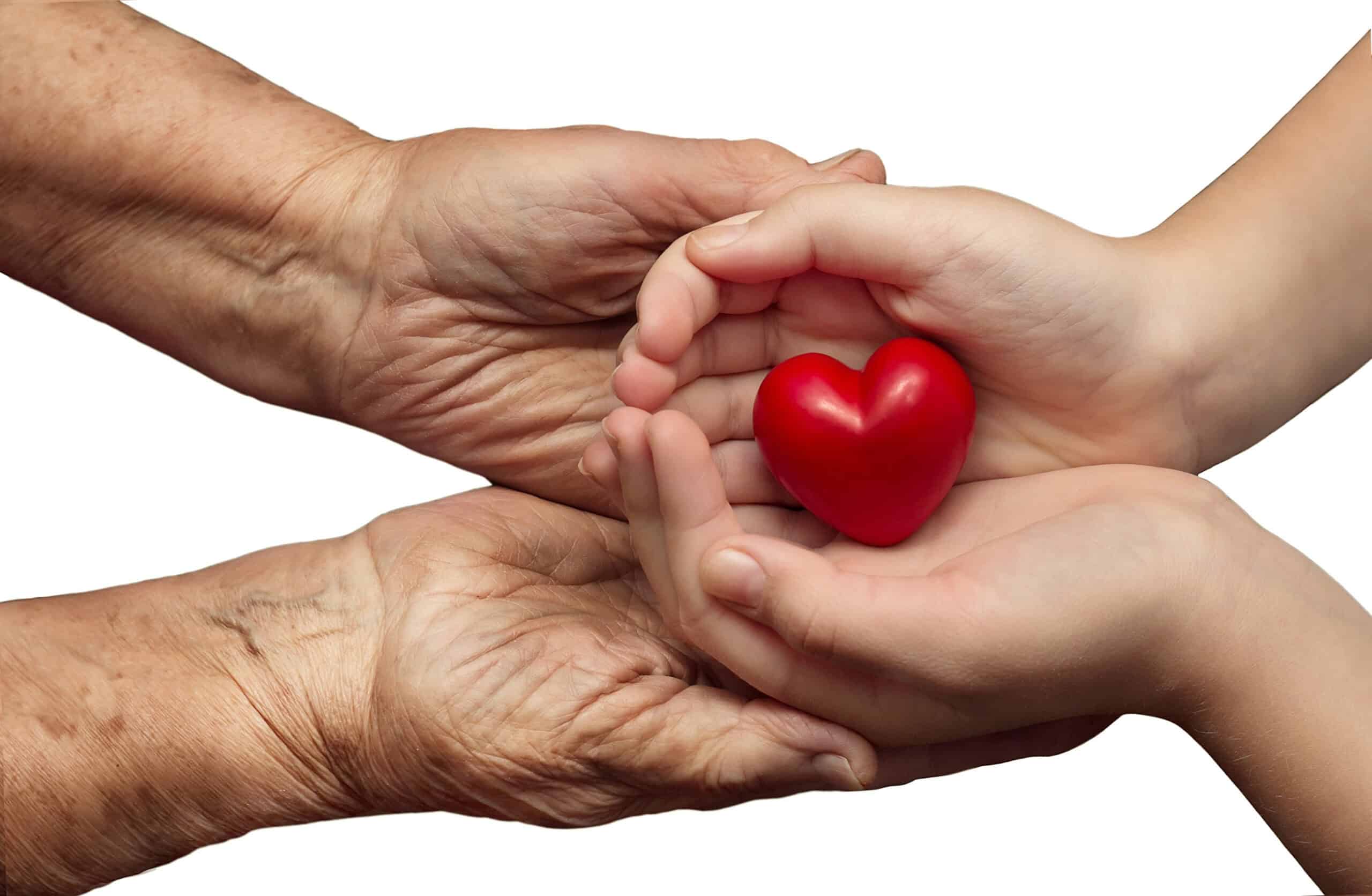 little girl and elderly woman keeping red heart in their palms t