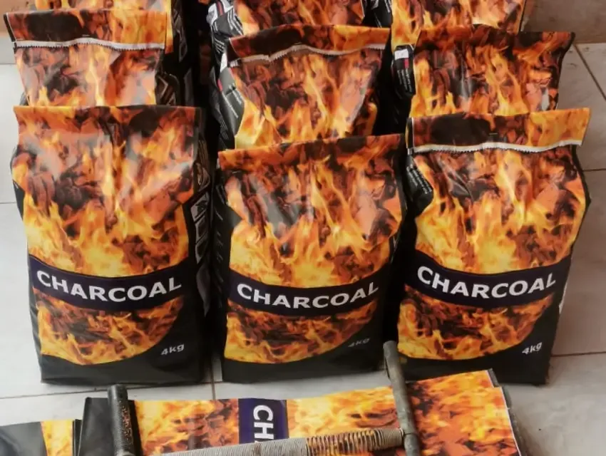 Production of charcoal by Mapula Maomela’s Sirius team