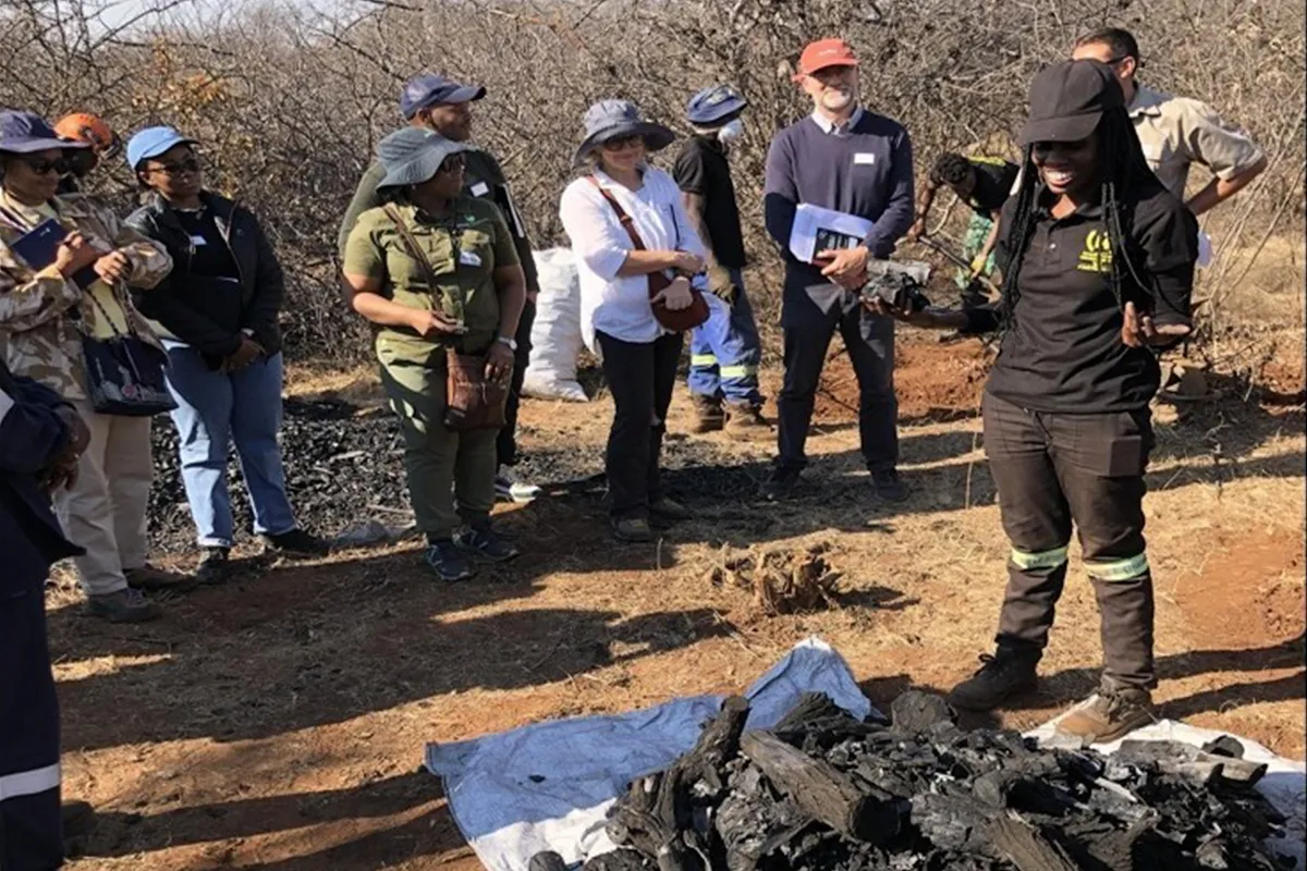 Turning invasive biomass into charcoal