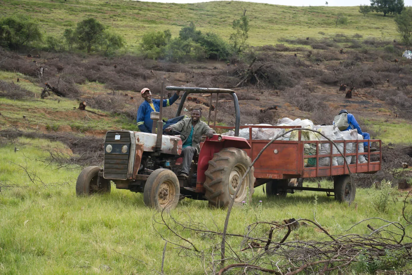 Restoring land