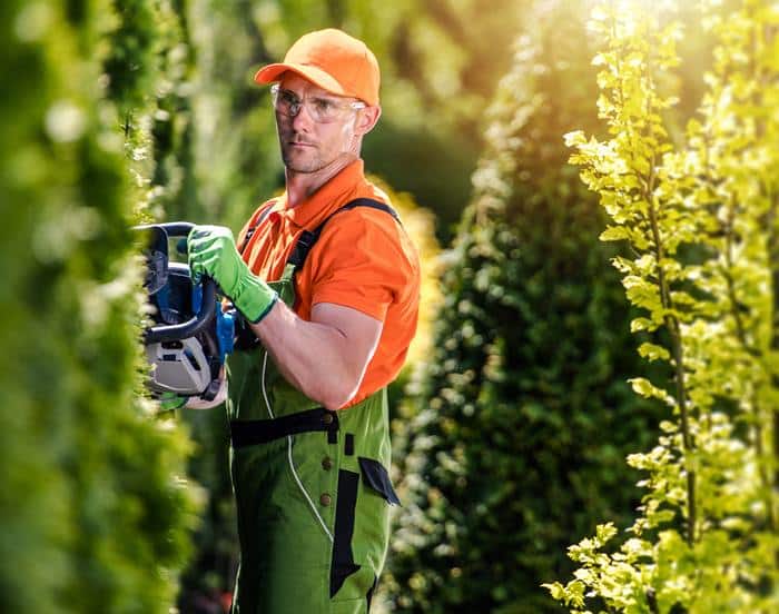 Une personne portant une casquette orange, une chemise orange, une combinaison verte et des gants utilise un taille-haie électrique sur une grande haie verte par une journée ensoleillée.