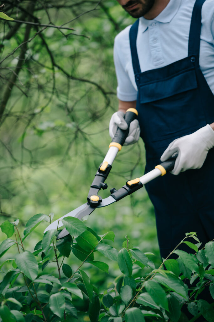 Une personne vêtue d'une combinaison bleue et de gants blancs utilise un sécateur pour tailler des buissons à feuilles vertes, mettant en valeur le méticuleux Entretien parc & jardin à Castelsarrasin.