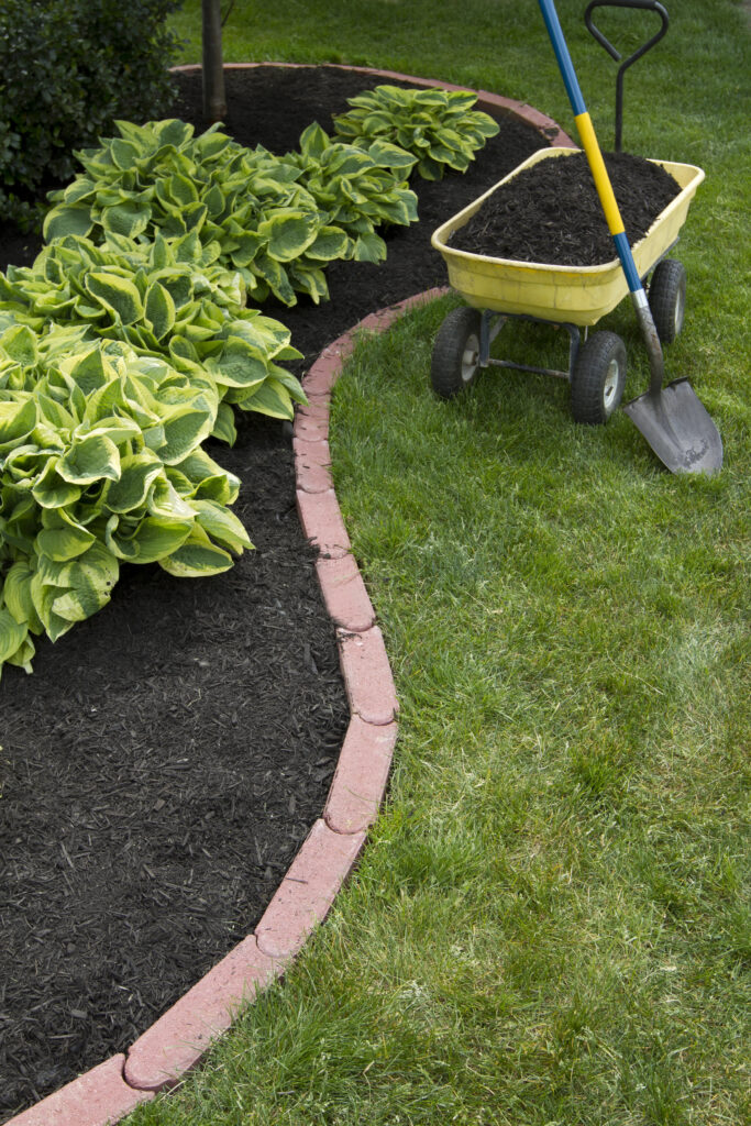 Un lit de jardin avec des plantes vertes est bordé de briques. À proximité, pour l'entretien parc & jardin à Malause, une brouette jaune remplie de paillis et une pelle sont déposées sur le gazon.
