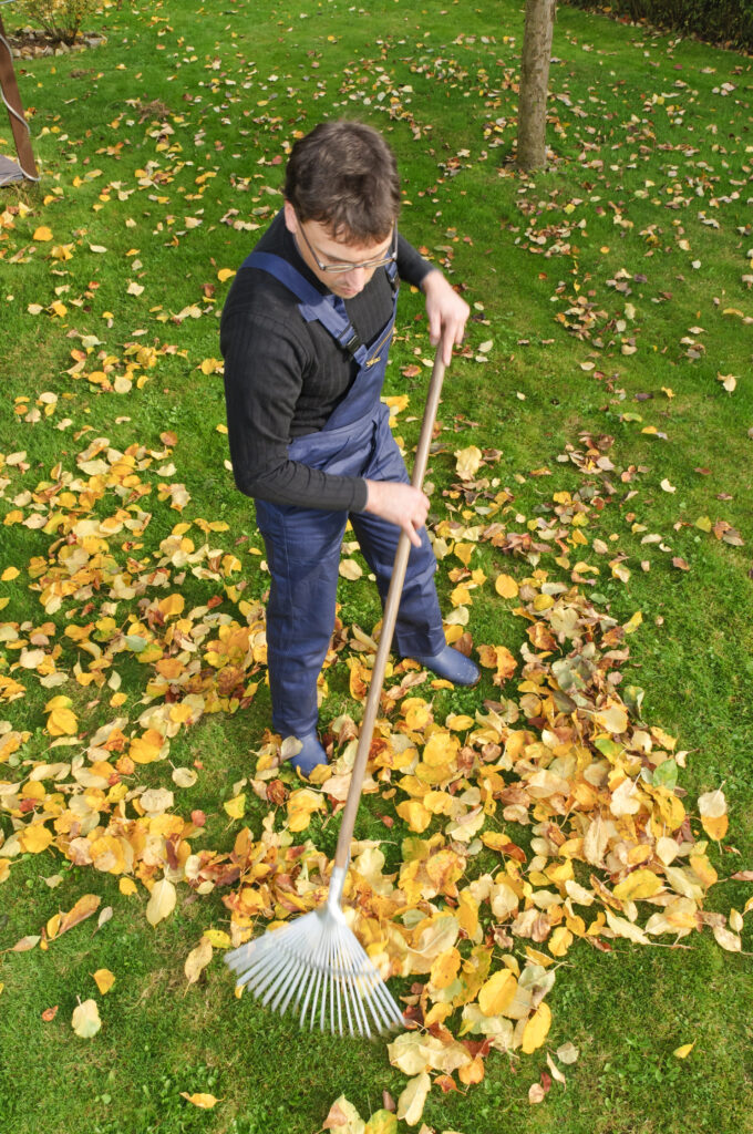 Une personne portant une salopette bleue ratisse des feuilles mortes sur une pelouse en plein air, contribuant ainsi aux évacuations des déchets verts à Moissac.