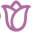 bloomisrael.com Icon