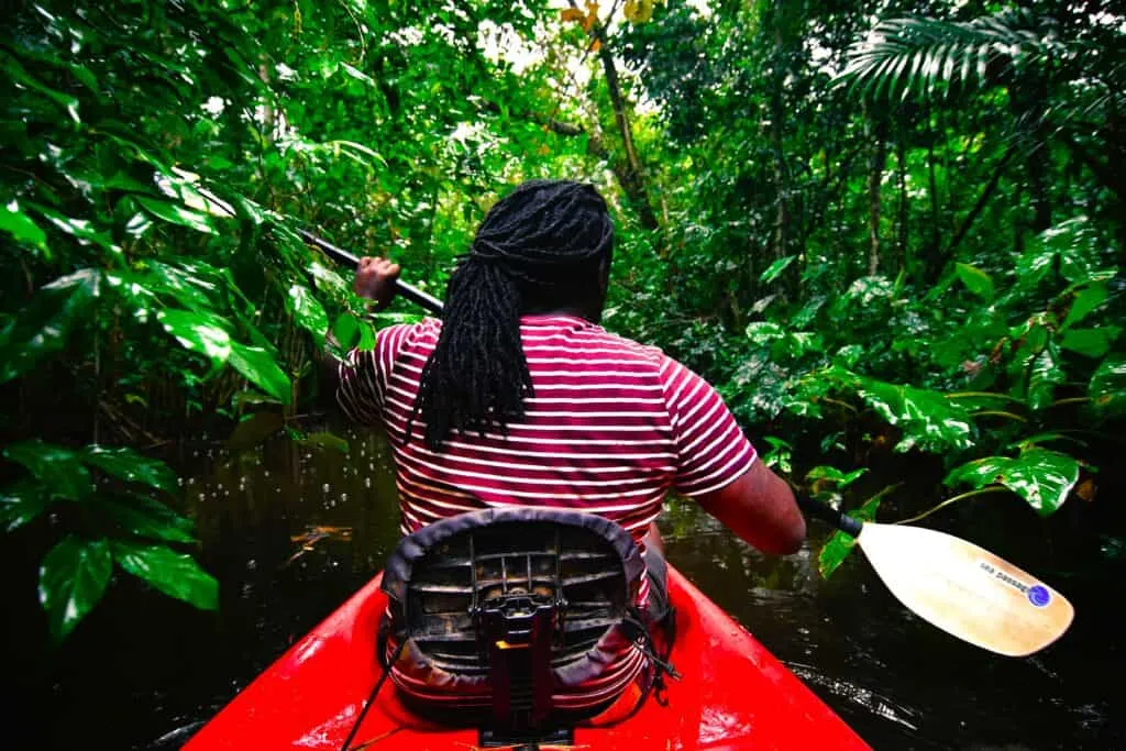 A person paddles in a kayak during the Peperpot Kayak Tour (Suriname), sailing through lush green jungle waterways surrounded by dense foliage.