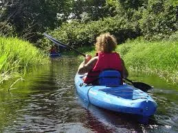 A curly-haired person in a red life jacket paddles in a blue kayak on the Peperpot Kayak Tour (Suriname), gliding through a calm waterway lined by green grass and trees in the sun.