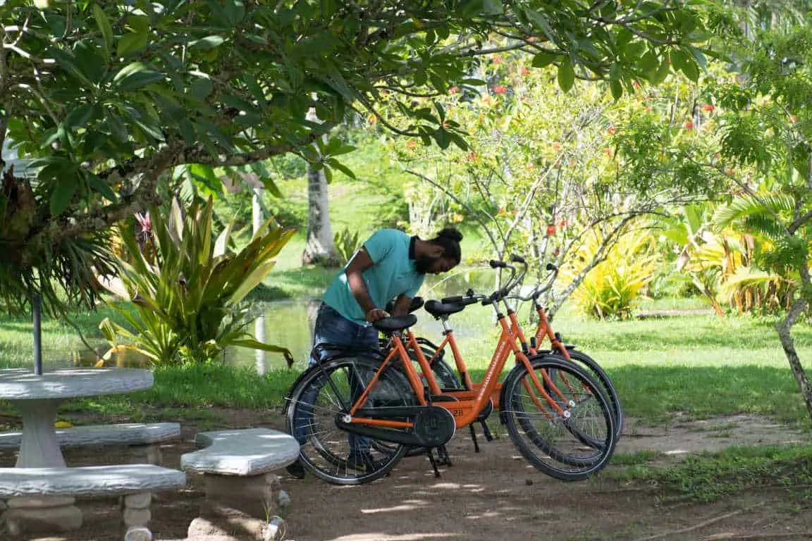 Bike Rental Plantage Kroonenburg – Discover History by Bike (Suriname)