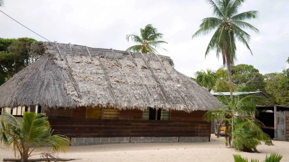 Ontdek white beach Suriname_ waar kunst en natuur samenkomen