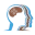 brainhealthusa.com Icon