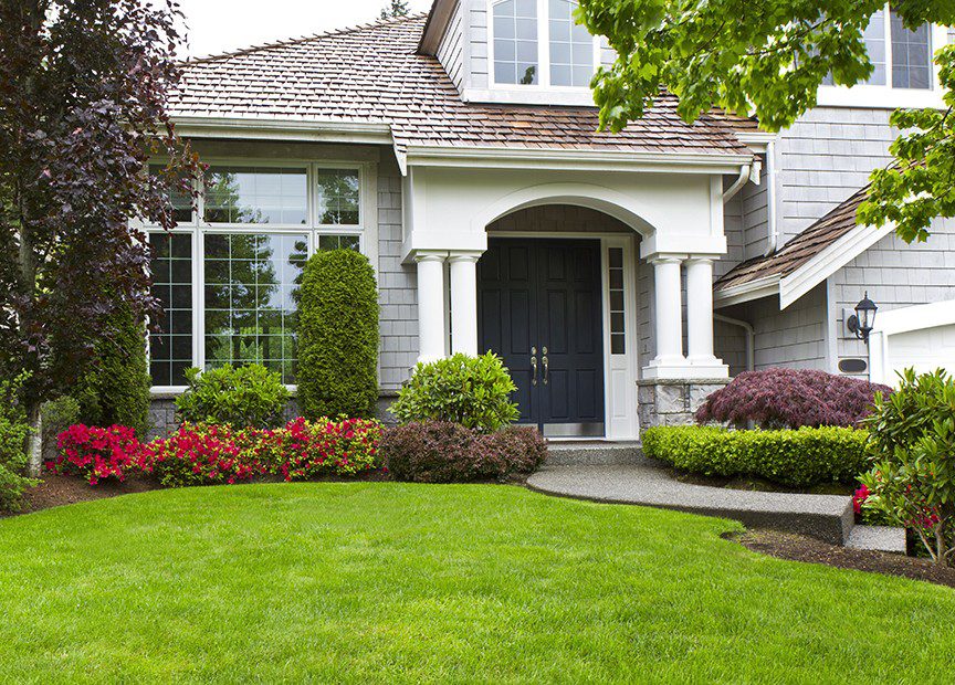 Front Yard