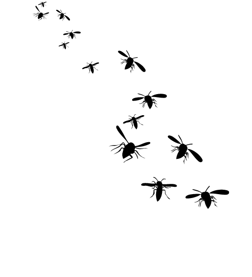 Black silhouettes of several flying insects arranged diagonally on a pale background