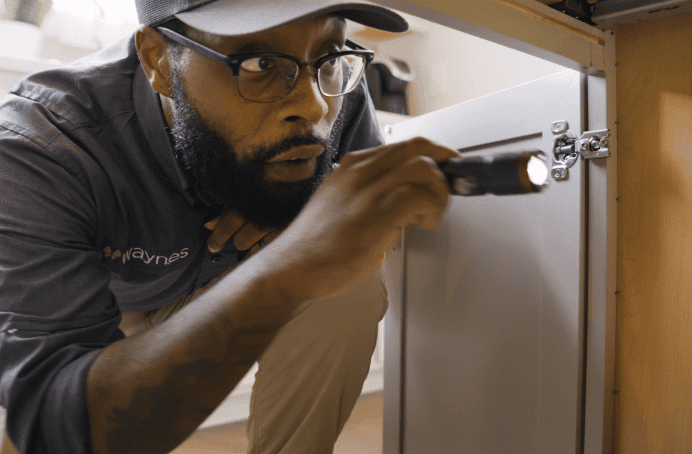 Waynes Pest Control technician kneeling and inspecting inside a kitchen cabinet with a flashlight
