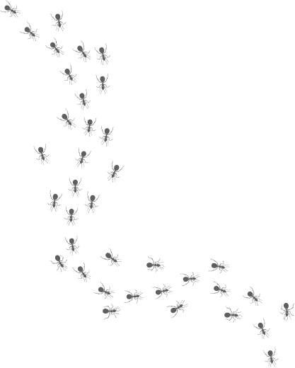 Multiple small ant silhouettes forming curved trails across a green background