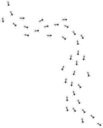 Trail of small black ant illustrations along the page corner, used as a pest-control site accent