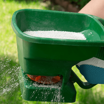 Green handheld broadcast spreader dispensing white granular fertilizer across a grassy lawn