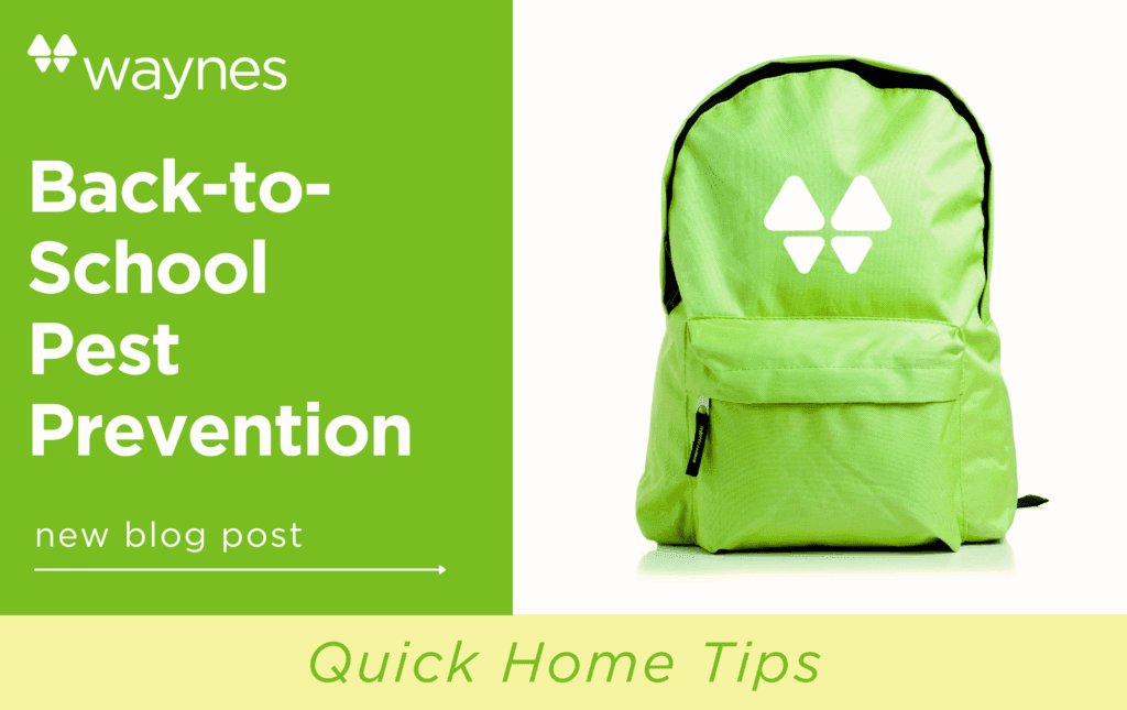 Green backpack with a white triangular logo beside a green panel reading "Back-to-School Pest Prevention"