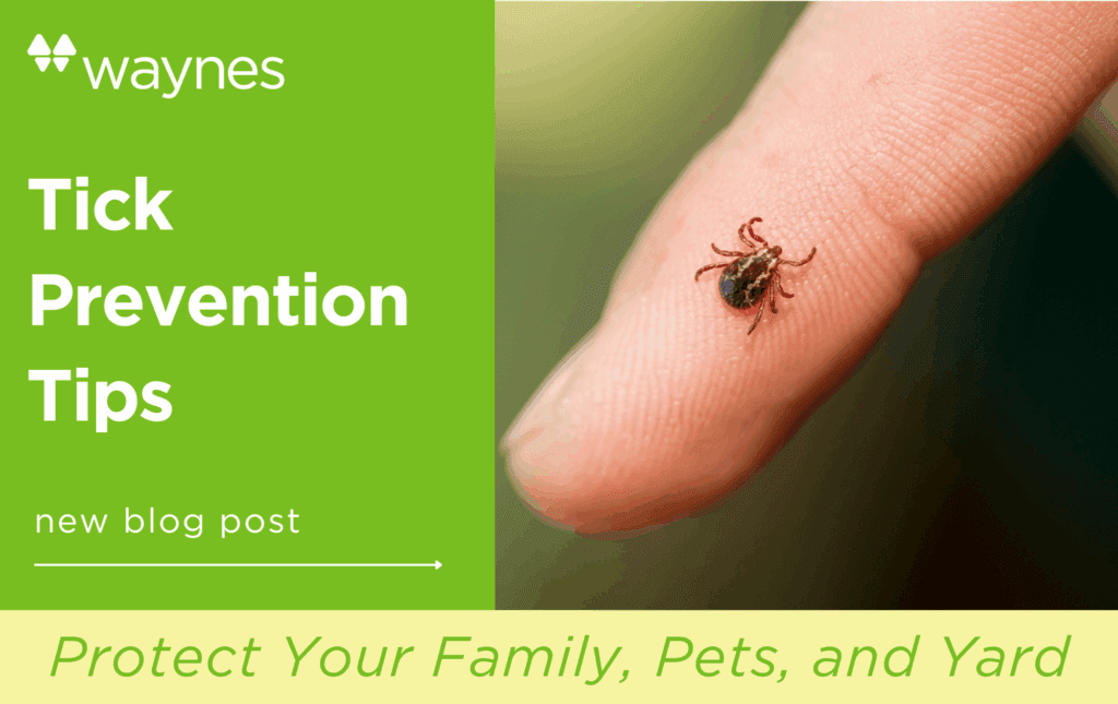 Small tick attached to a fingertip beside a green Waynes-branded panel reading 'Tick Prevention Tips'