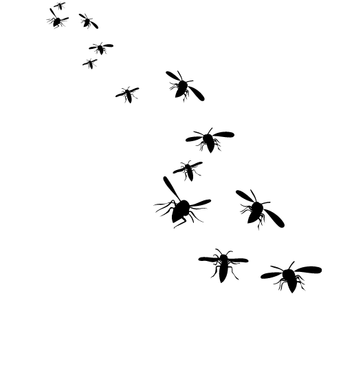 Black silhouettes of several flying insects arranged diagonally on a pale background