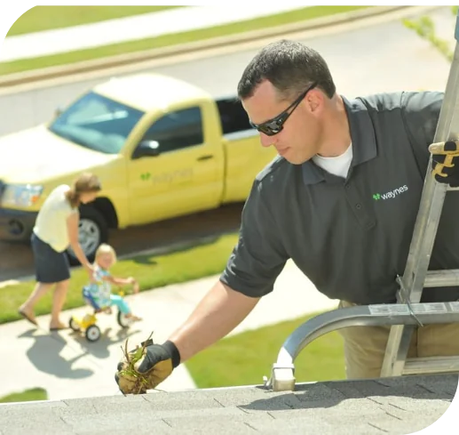 Technician clearing leaves from a roof gutter as a woman watches with a child and a Waynes service truck nearby