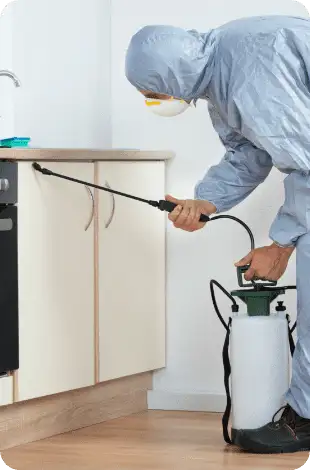 Person in protective suit and mask using a pump sprayer to treat the base of kitchen cabinets
