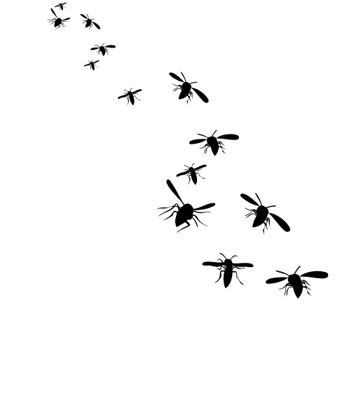 Black silhouettes of several flying insects arranged diagonally on a pale background