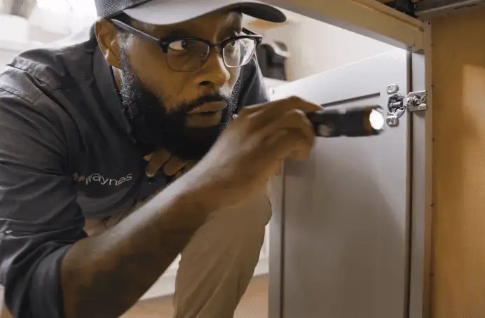 Waynes Pest Control technician kneeling and inspecting inside a kitchen cabinet with a flashlight