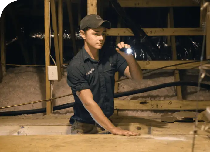 Technician in cap inspecting attic insulation cavity with a flashlight