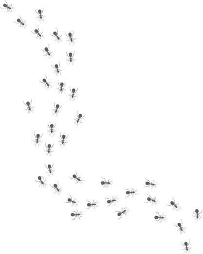Multiple small ant silhouettes forming curved trails across a green background