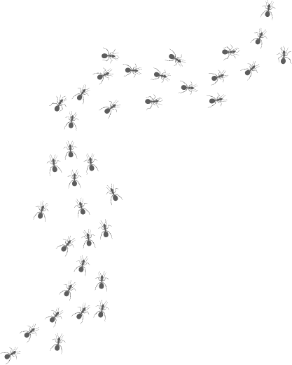 Small ants forming a trail along the top-right and left edges on a plain background