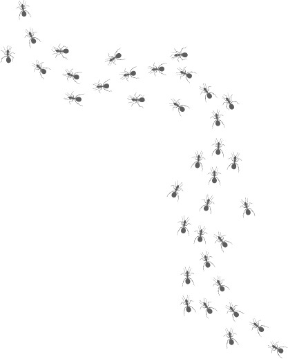 Trail of small black ant illustrations along the page corner, used as a pest-control site accent